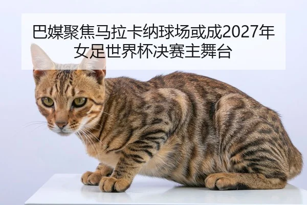巴媒聚焦马拉卡纳球场或成2027年女足世界杯决赛主舞台